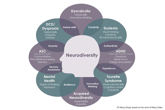 what is neurodiversity
