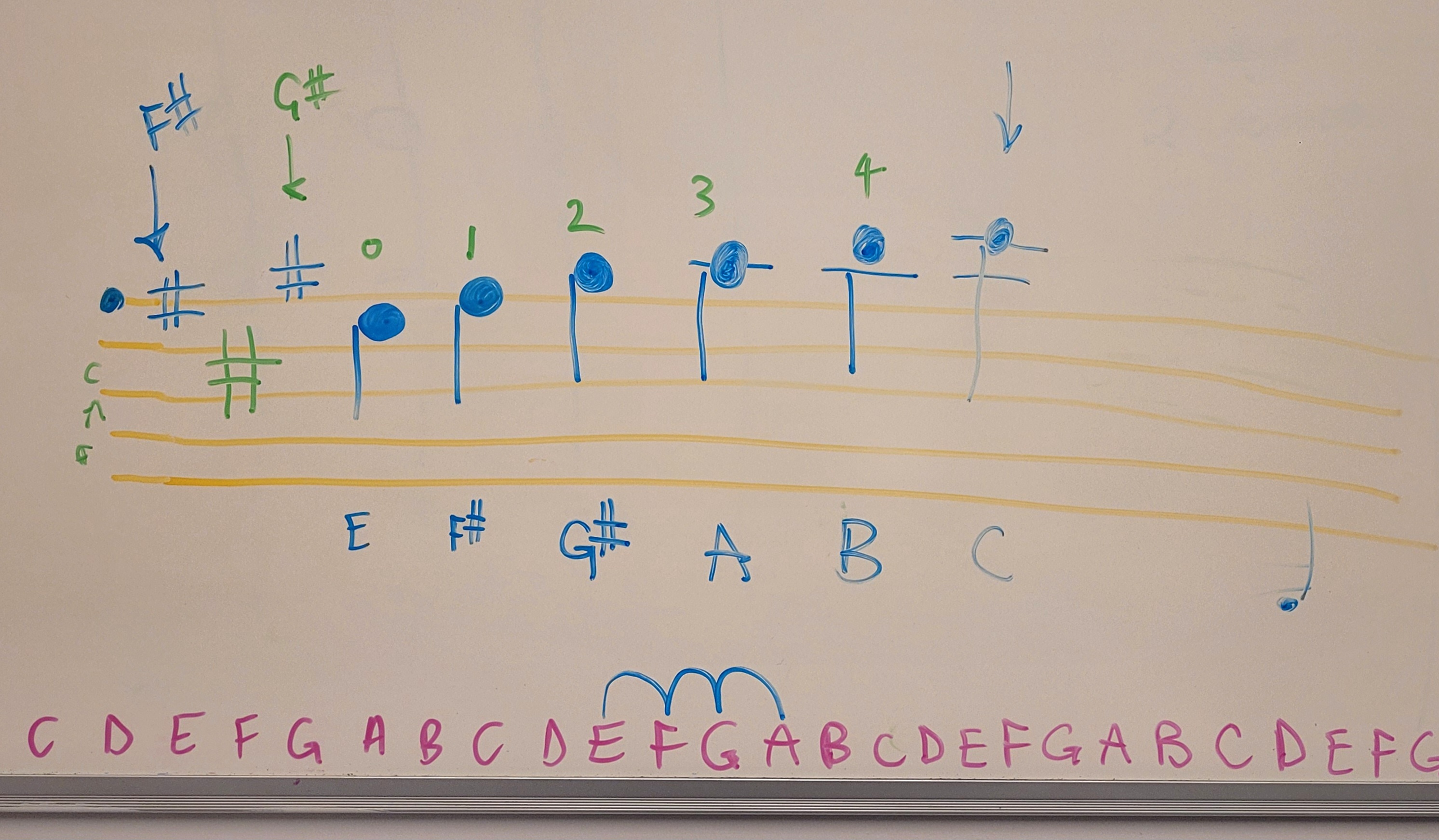 Picture of whiteboard displaying notes on the E string